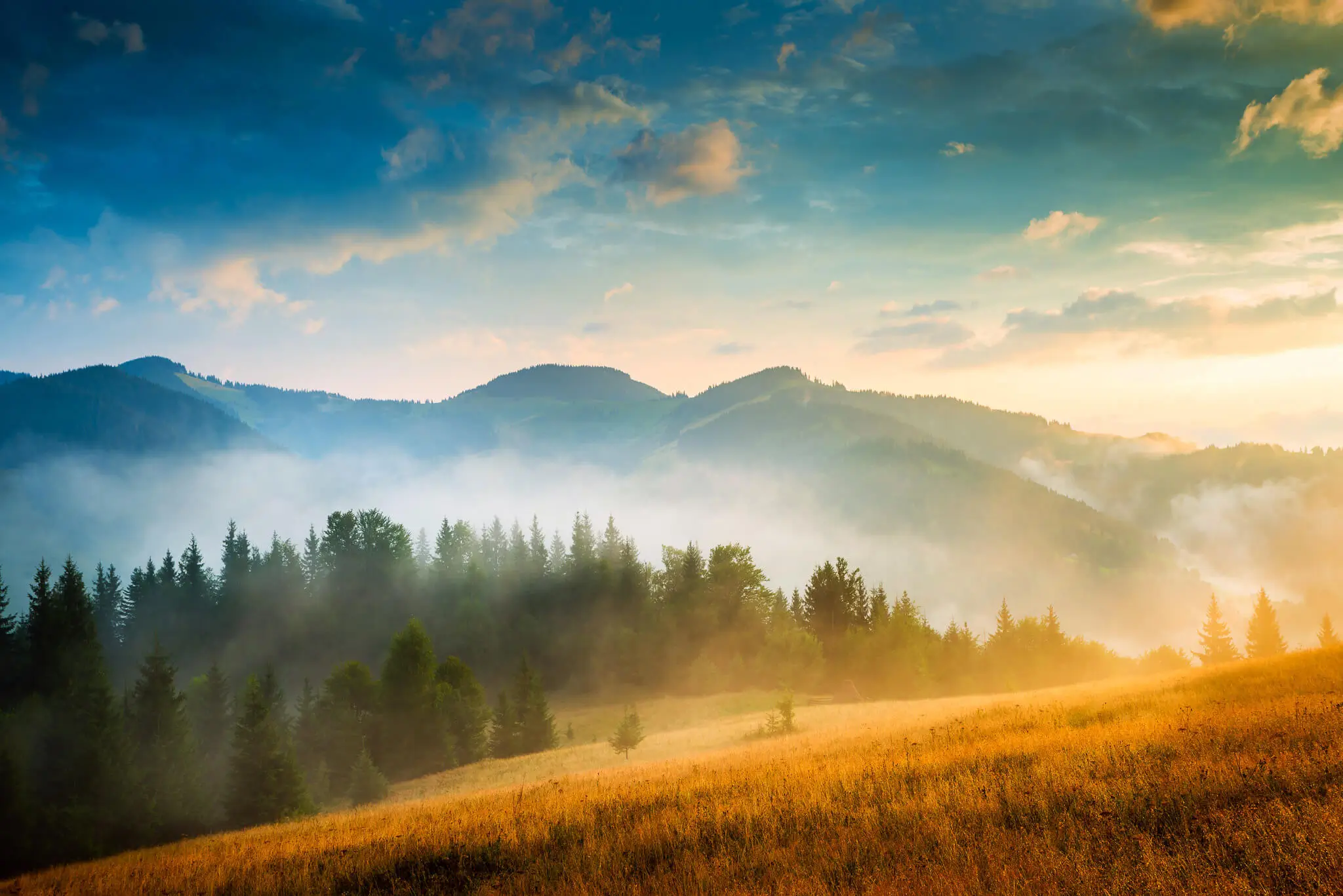 Fog over mountains and trees